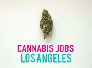 Los Angeles, CA. . Cannabis jobs los angeles